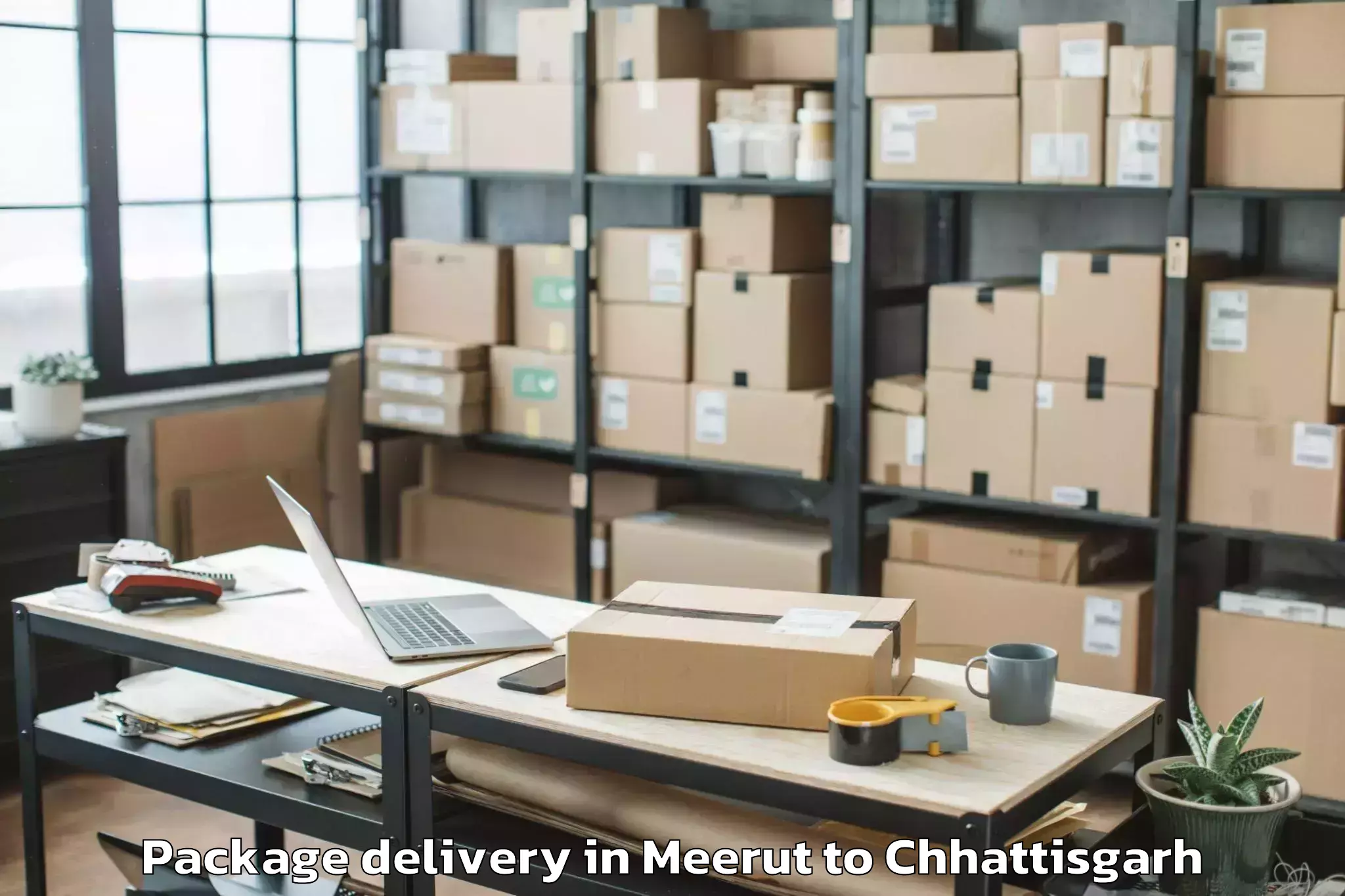 Quality Meerut to Mungeli Package Delivery